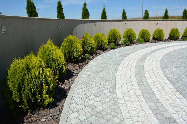 Reasons to Select Us for Your Driveway Paving Requirements in Siler City, NC
